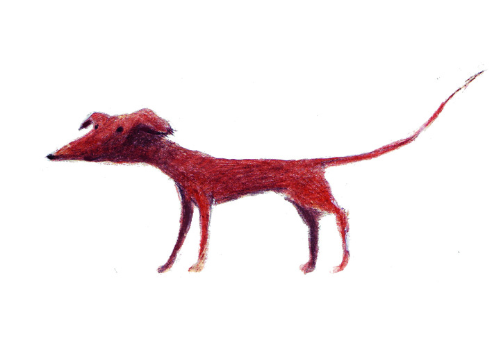 Hunde...2