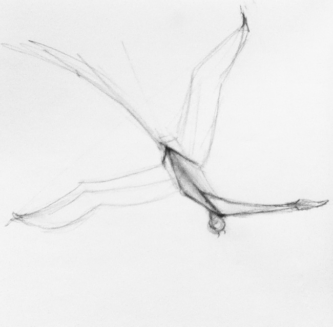 Flugtier...